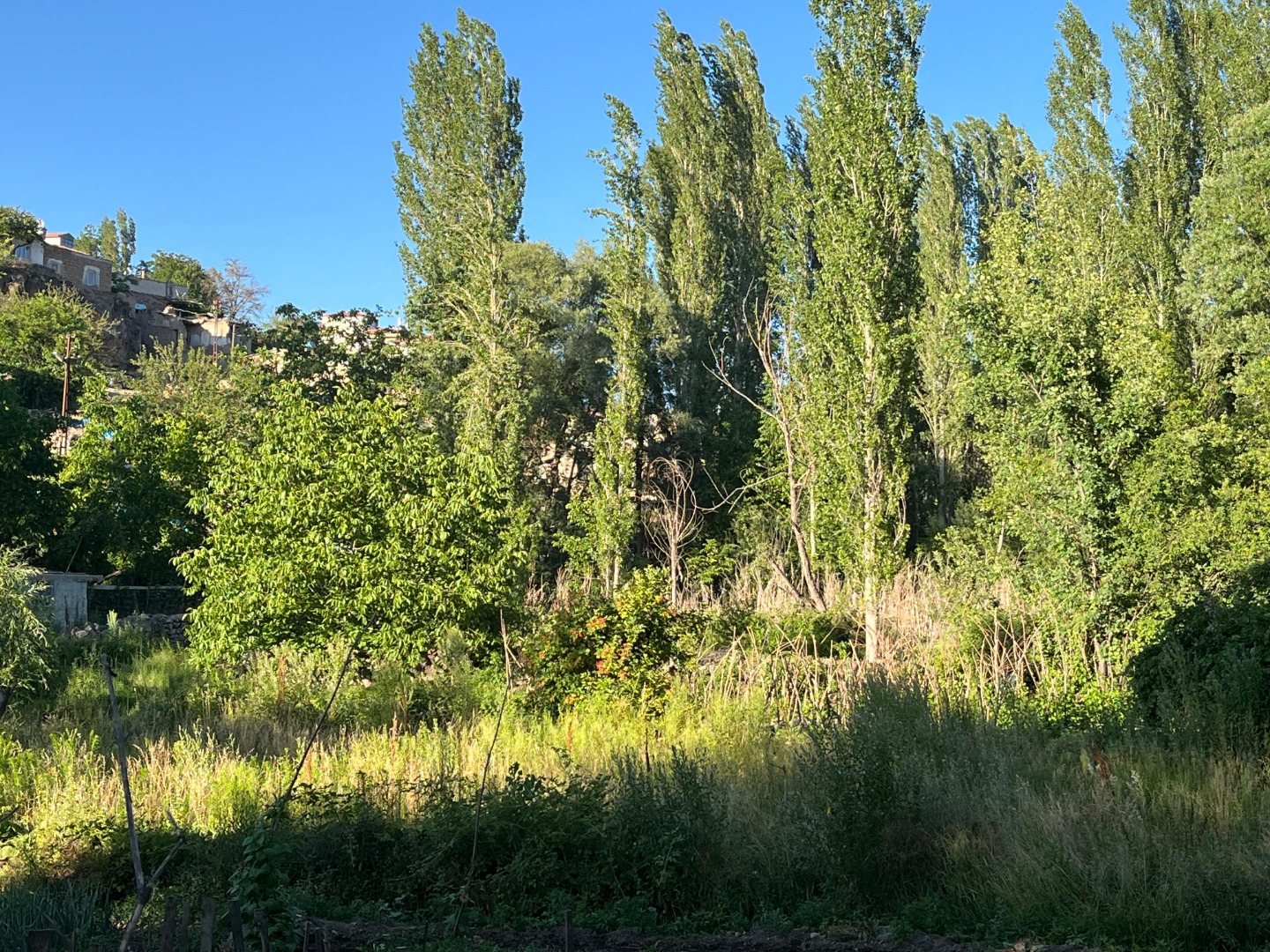 KAYSERİ DEVELİ FATİH MAHALLESİ ÇAYIRBAĞ MEVKİİNDE SATILIK BAHÇE